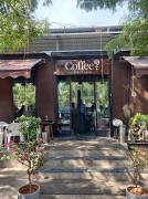 Coffee Since 1999 - Thousand Lights - Chennai