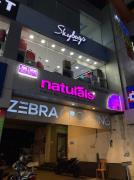 Zebra Crossing - Thuraipakkam - Chennai