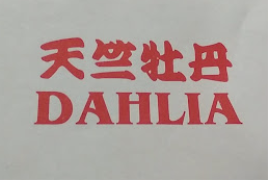 Dahlia - Nungambakkam - Chennai