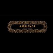 Ambience Kitchen and Grill - Viman Nagar - Pune