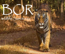 Bor Wildlife Sanctuary
