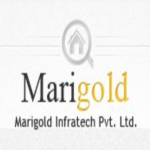 Marigold Infratech - Chandigarh Image