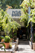 Peter Rabbit - Sector 10 - Chandigarh