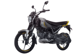 Bajaj Freedom 125 NG04 Drum LED