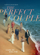 The Perfect Couple