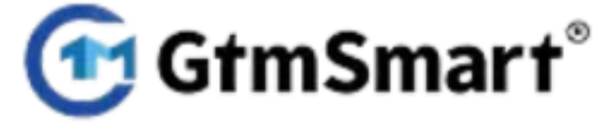 GTM Smart