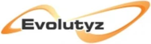 Evolutyz IT Services