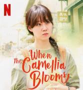 When the Camellia Blooms