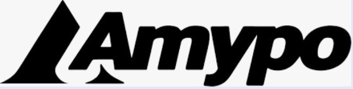Amypo Technologies