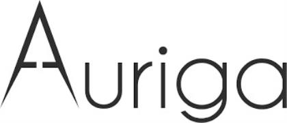Auriga IT Consulting