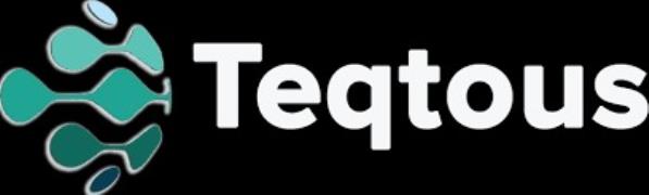 Teqtous Inc