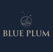 Blue Plum - Salt Lake - Kolkata