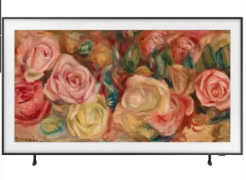 Samsung 138cm (55) HD Smart TV QA55LS03DAULXL