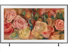 Samsung 165.1cm (65) 4K HD Smart TV QA65LS03DAULXL)