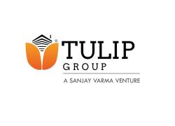 Tulip Deveopers - Pune
