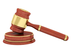 All India Legal Service