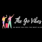 Thegovibes