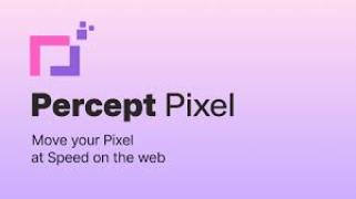 PerceptPixel