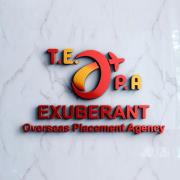 The Exuberant Overseas