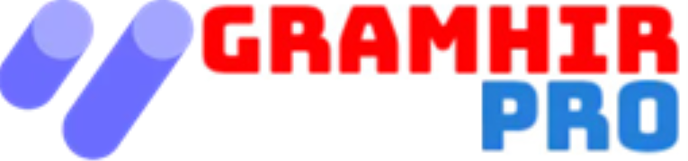 Thegramhirpro