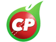 CricPlay