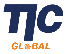 The Immigration Consultants