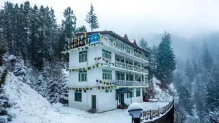 Dormigo - Old Manali - Manali