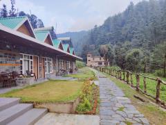 Backwoods Retreat - Summer Hill - Shimla