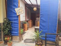 Shimla Gypsy - Bemloi - Shimla