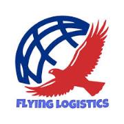 Flying Logistics Packers and Movers - Gurgaon