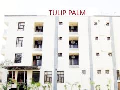 Tulip Palm - C Scheme - Jaipur