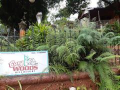 Cozy Woods Hill Resort - Karmali - Goa