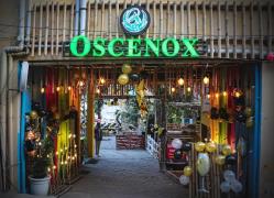 Oscenox Swiss Cottage - Tapovan - Rishikesh