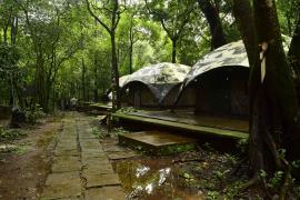 Seethanadi Nature Trek - Udupi