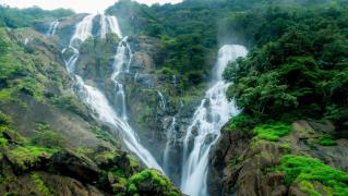 Dudhsagar Waterfalls Trek - Goa