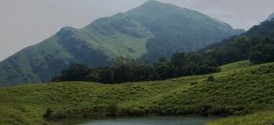 Nilgiri Hills Trek - Nilgiris