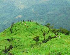 Paithalmala Hill Trek - Kannur