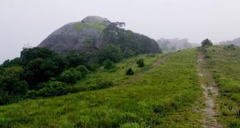 Pakshipathlam Trek - Wayanad
