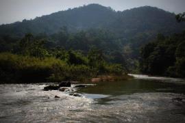 Maredumilli Forest Trek - Alluri Sitharama Raju
