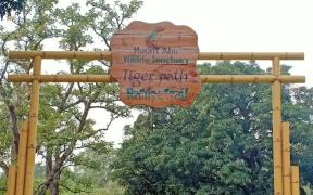 Tiger Path Trek - Mount Abu