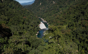 Namdapha Trek - Changlang