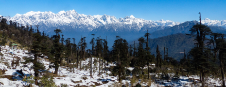 Rabongla to Menam Trek - Sikkim