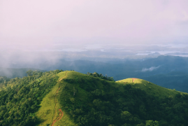 Kodachadri Trek - Shimoga