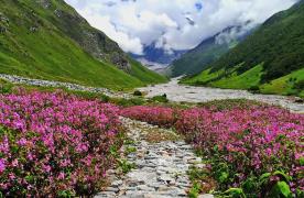 Valley of Flowers Trek - Chamoli