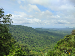 Devimane Hills - Uttara Kannada