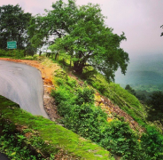 Hulikal Ghat - Shimoga