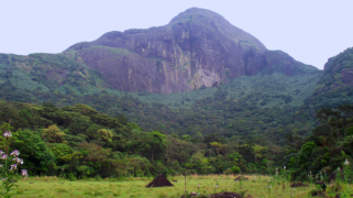Agasthiyamalai Hills - Thiruvananthapuram