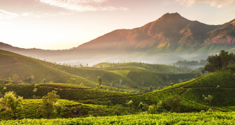 Devikulam Hill Station - Idukki