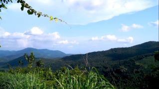 Malom Hills - Kasargod