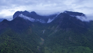 Vellarimala Hills - Kozhikode